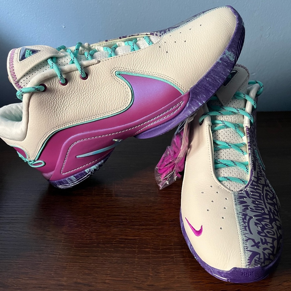Men’s size 11 Nike LeBron 22 XXII “frozen grape” basketball shoes
